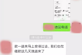 海林为什么选择专业追讨公司来处理您的债务纠纷？